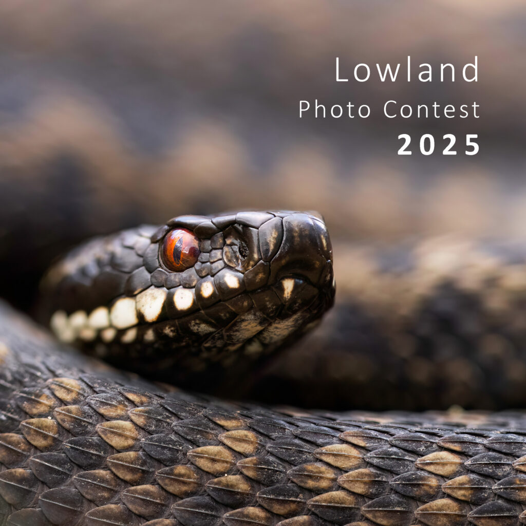Cover brochure Lowland Photo Contest 2025